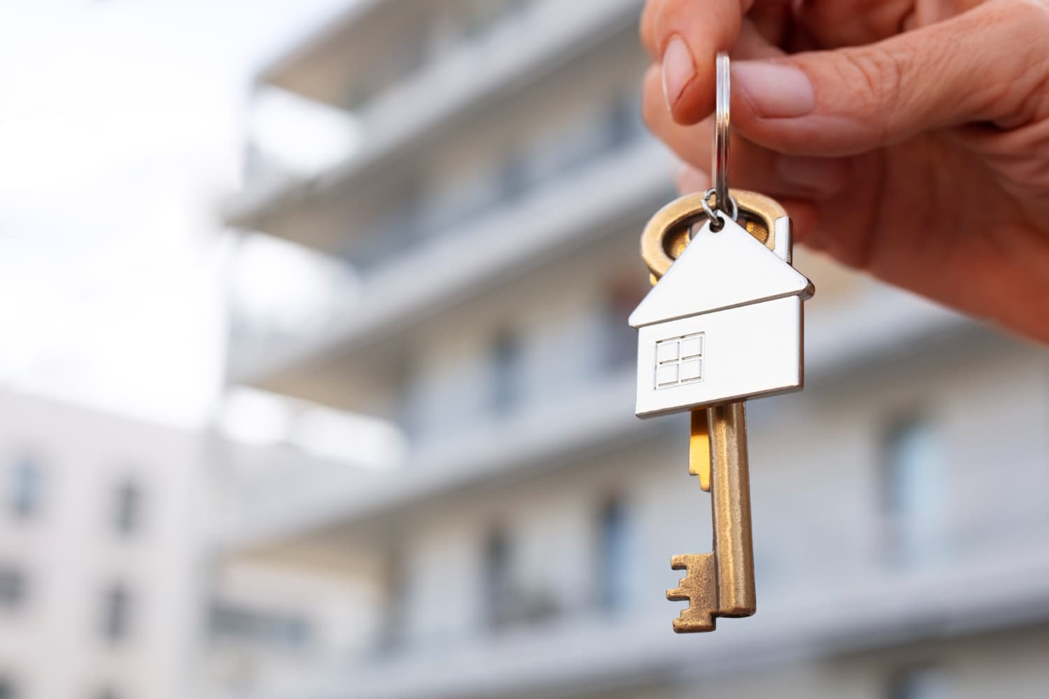 La evolución del sector inmobiliario en Alicante tendencias y oportunidades en 2024